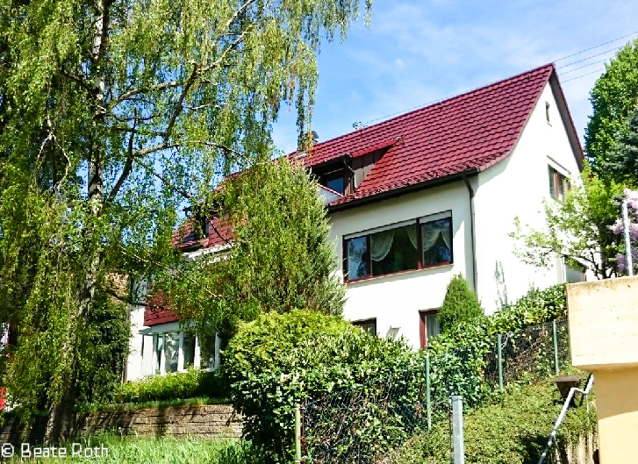 Die Immobilienvermarkter Beate Roth Digitalitaet-4